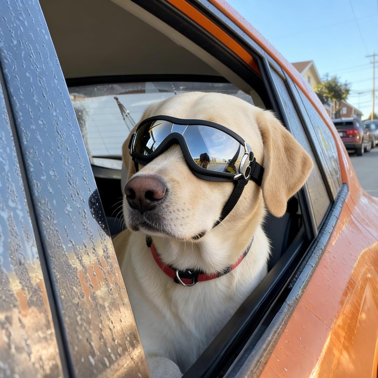 Dog Goggles for Medium & Large Dogs – Windproof Protective Sunglasses (Black)