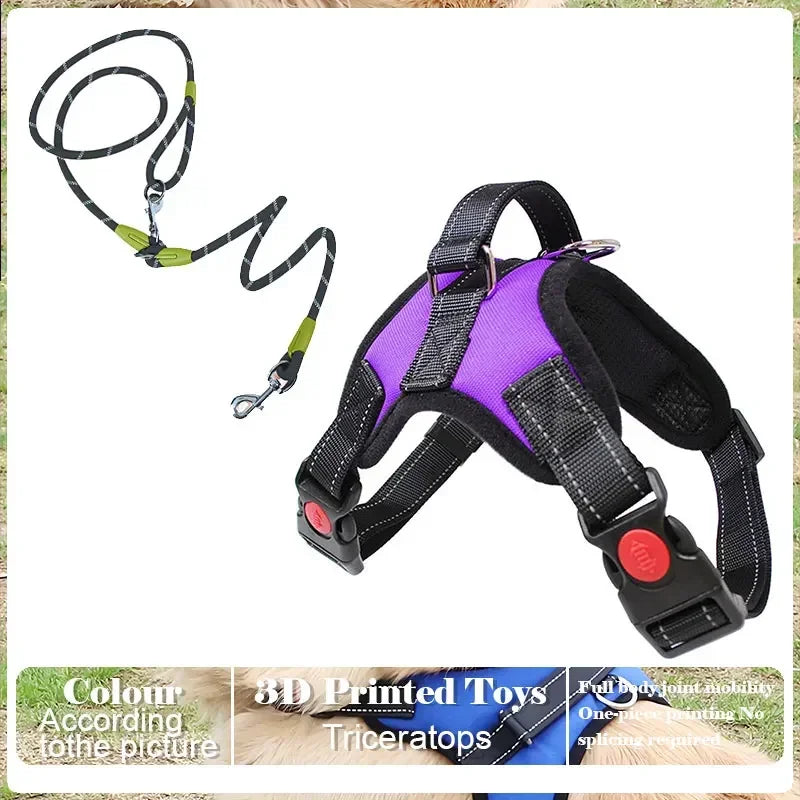 Adjustable Pet Harness and Leash Set