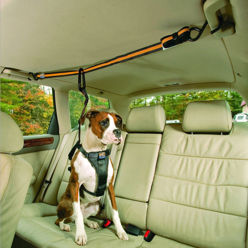 Pet Safety Belt Dual-Purpose Car Lanyard