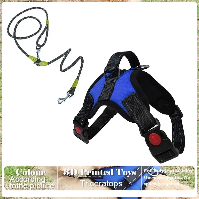 Adjustable Pet Harness and Leash Set