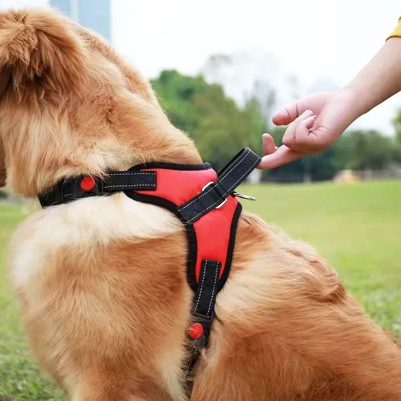 Adjustable Pet Harness and Leash Set