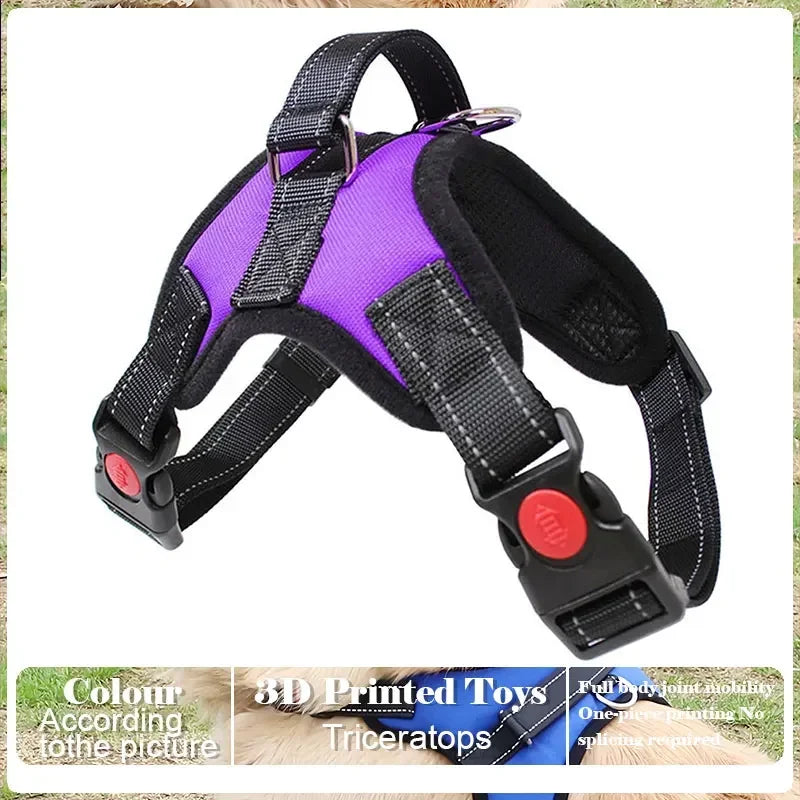 Adjustable Pet Harness and Leash Set