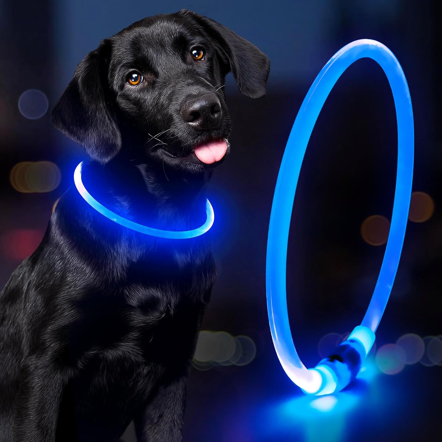 Rechargeable LED Dog Collar – Waterproof Light-Up Safety Collar for Night Walking (Blue)