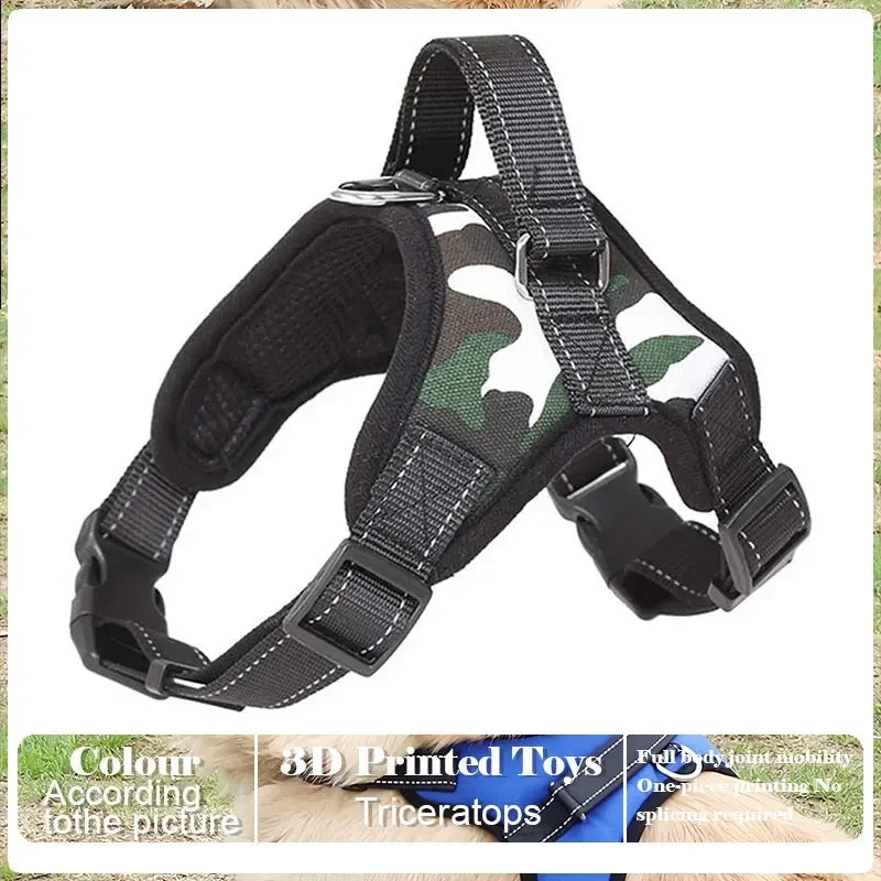 Adjustable Pet Harness and Leash Set