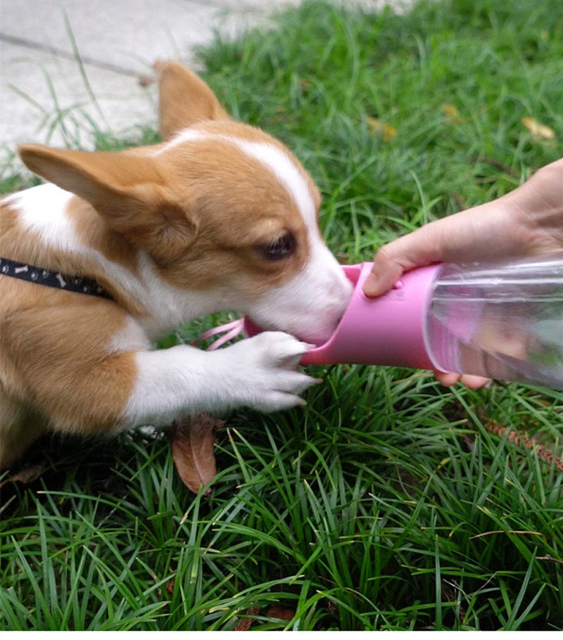 Portable Dog Water Bottle with Bowl – Leak-Proof Pet Travel Dispenser