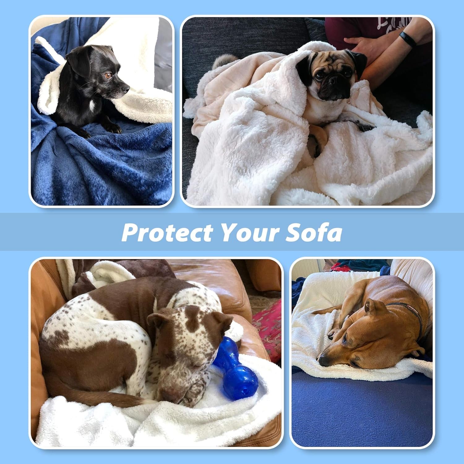 Large Dog Blanket Bed & Car (50" × 60", Black)