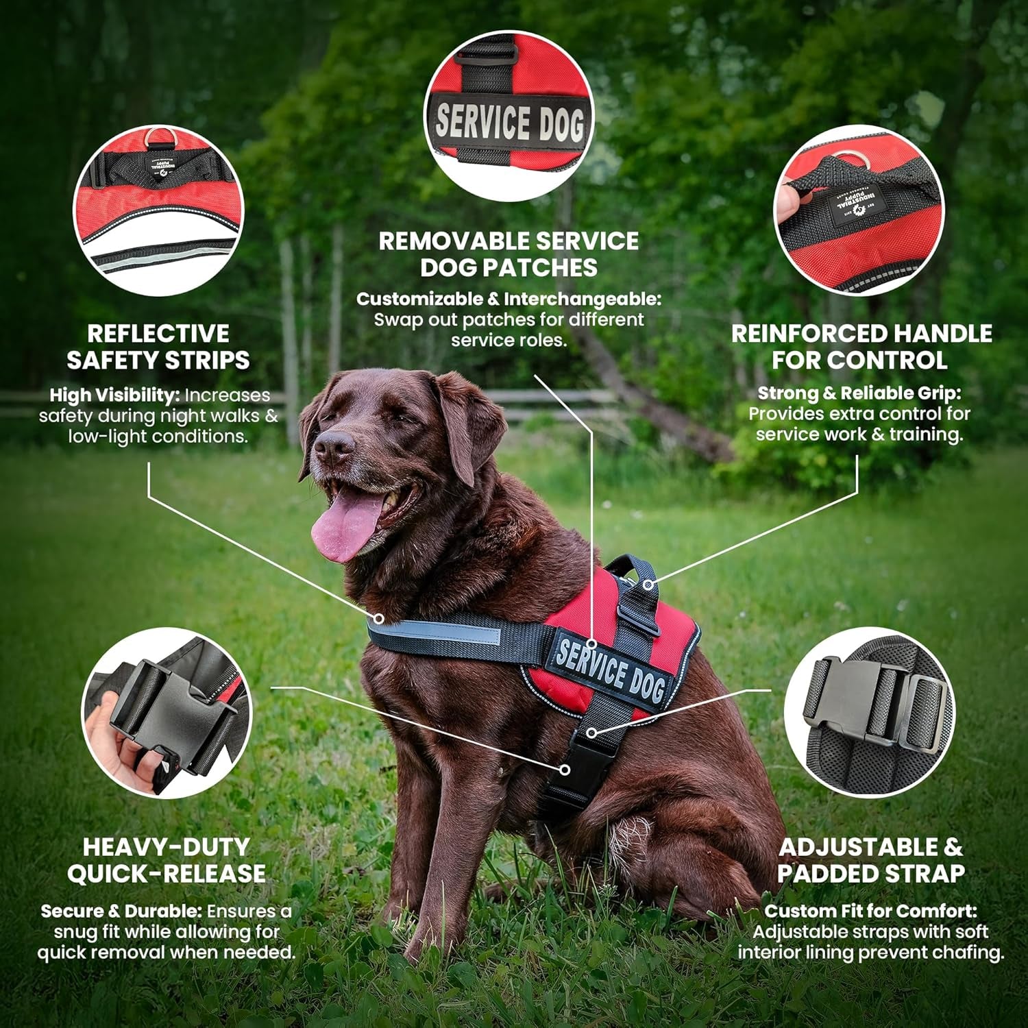 Service Dog Vest & Matching Leash Set – Reflective Harness for Working Dogs (Red, Medium)