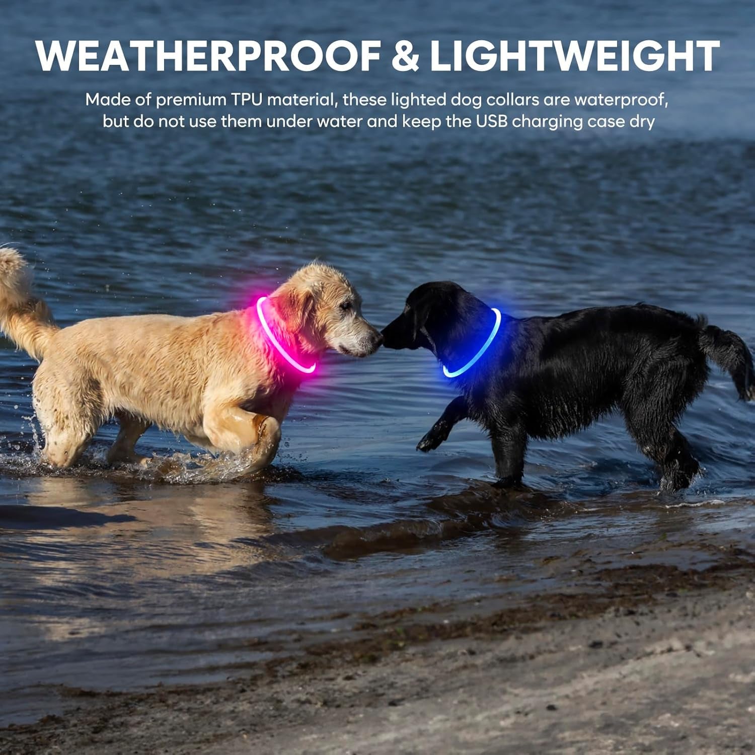 Rechargeable LED Dog Collar – Waterproof Light-Up Safety Collar for Night Walking (Blue)