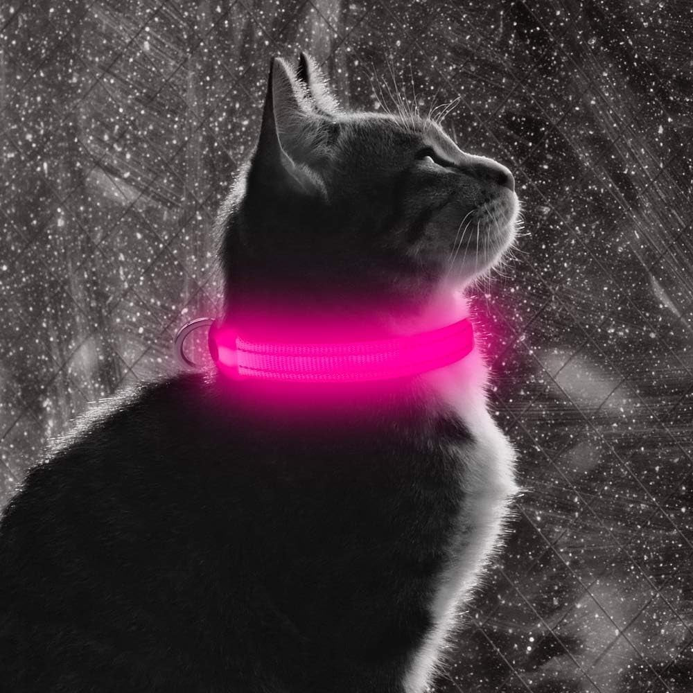 Rechargeable LED Dog & Cat Collar – Glow in the Dark Safety Collar for Night Walking (Pink, XS)