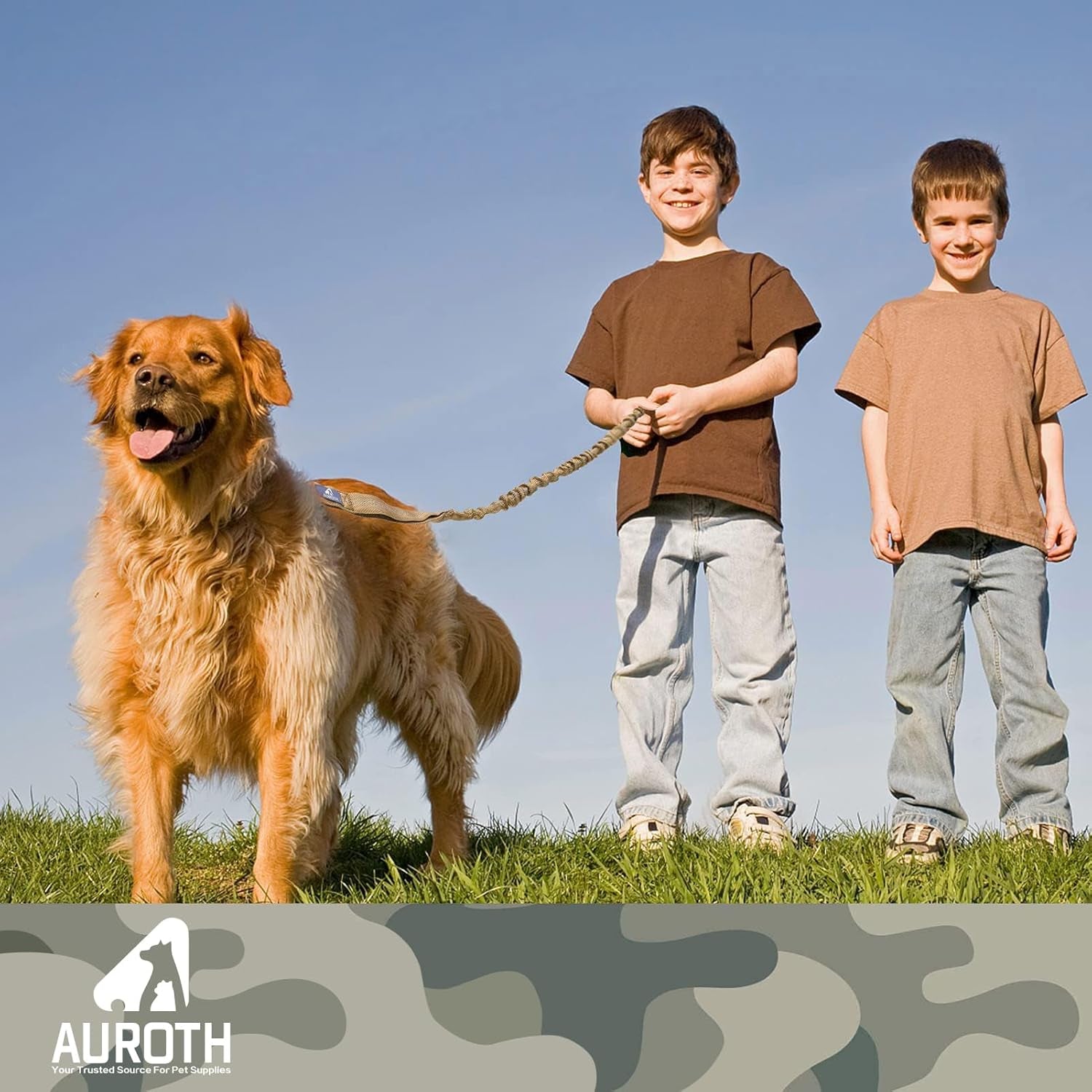 Heavy Duty Bungee Dog Leash 