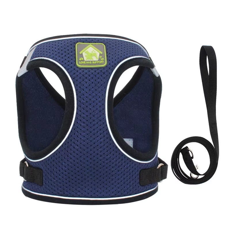 Comfort Control No-Pull Dog Harness & Leash Set