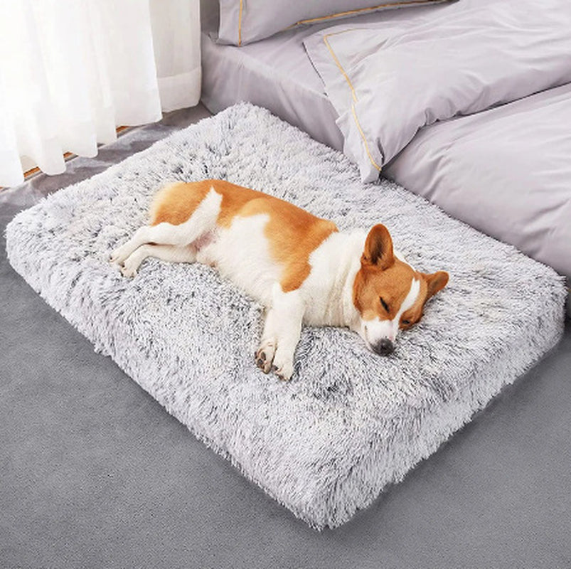 Plush Orthopedic Memory Foam Dog Bed – Deep Sleep Comfort Sofa