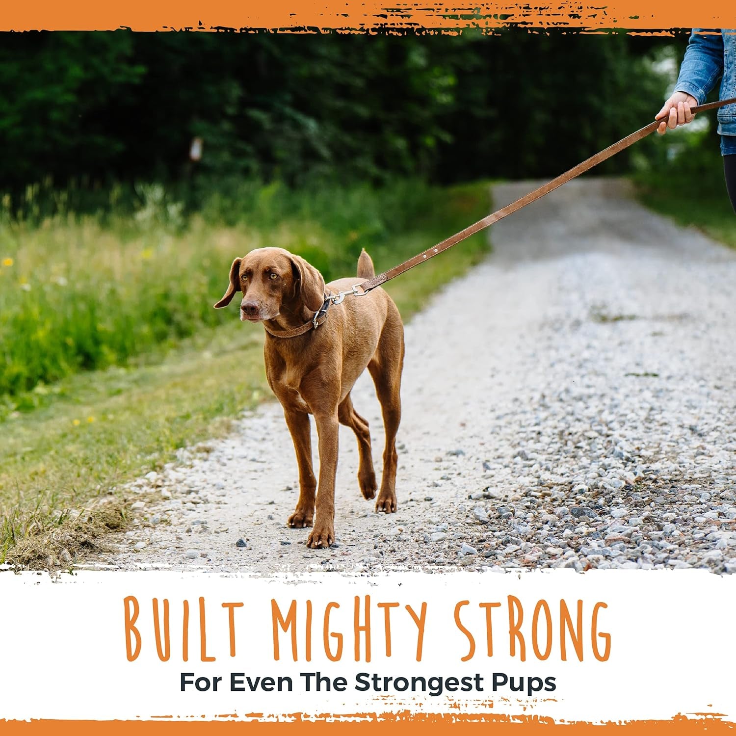 Luxury Genuine Leather Dog Leash – Premium 5 ft Soft Leather Pet Lead (Light Brown)