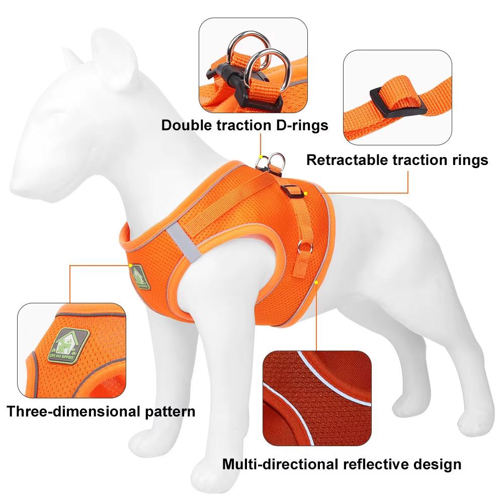 Comfort Control No-Pull Dog Harness & Leash Set