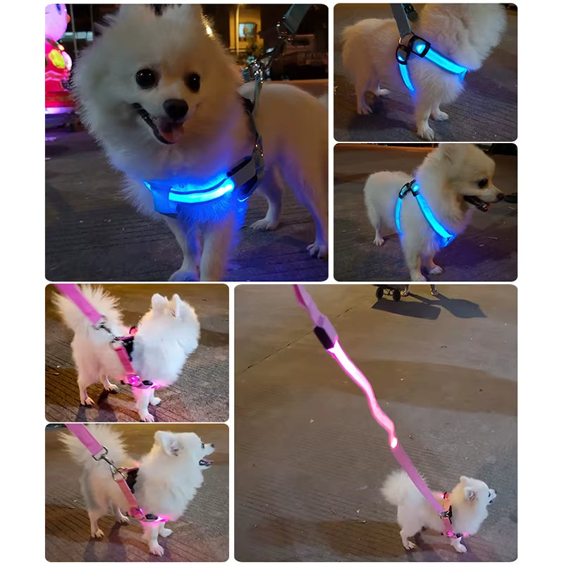 Adjustable LED Dog Harness No Pull Small Medium Glowing Nylon Breast-Band Night Safety Dog Accessories