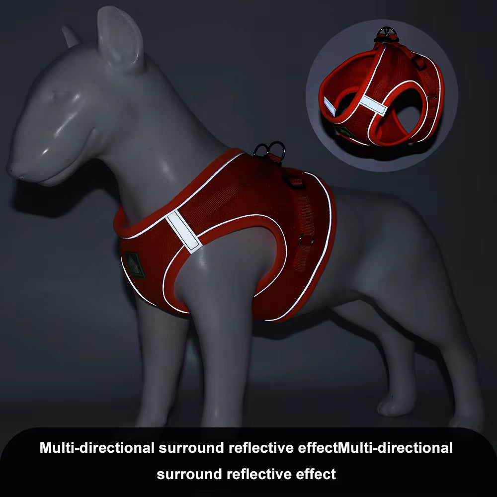 Comfort Control No-Pull Dog Harness & Leash Set