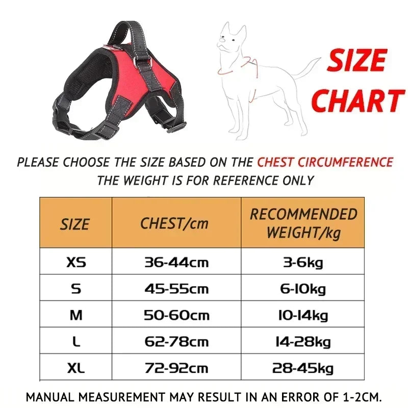 Adjustable Pet Harness and Leash Set