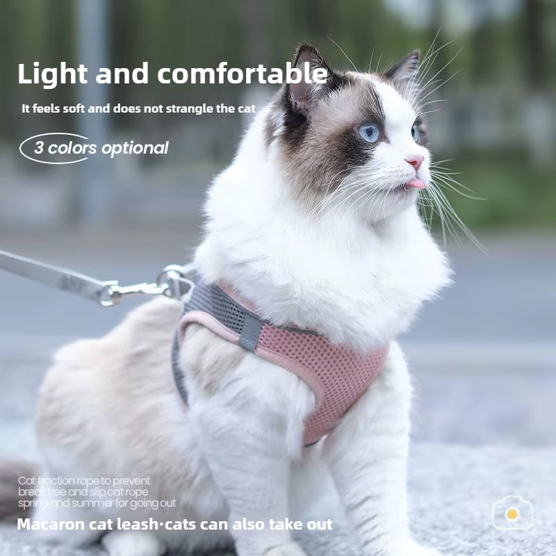 Adjustable Cat Collar and Leash Set for safe Walking with Reflective Vest