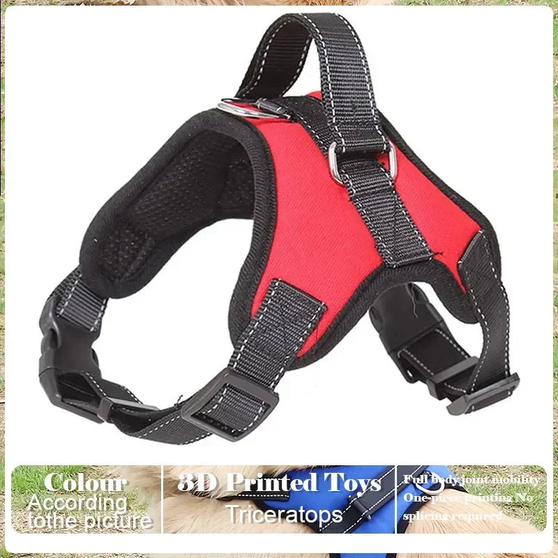Adjustable Pet Harness and Leash Set