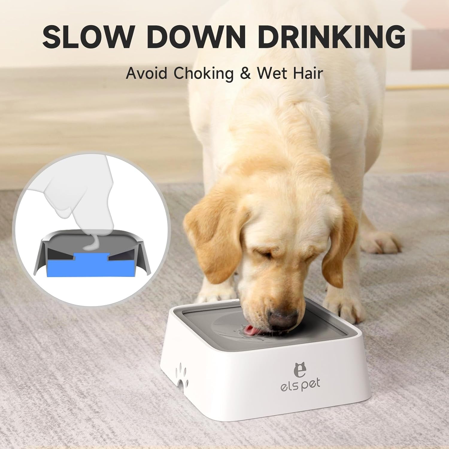 No-Spill Slow Water Feeder Bowl 