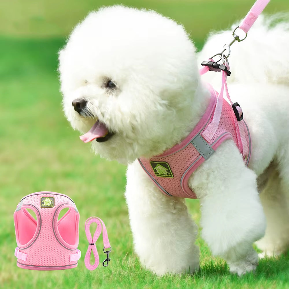 Comfort Control No-Pull Dog Harness & Leash Set