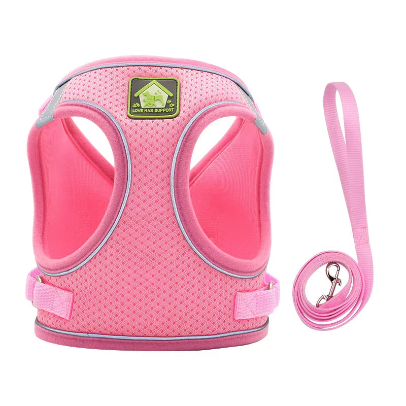 Comfort Control No-Pull Dog Harness & Leash Set