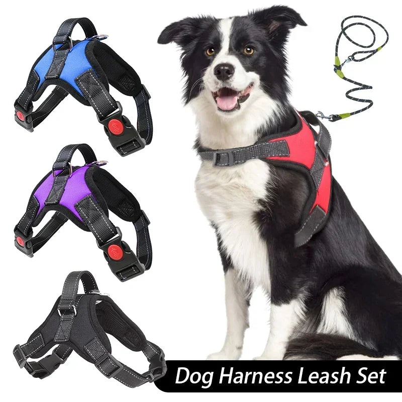 Adjustable Pet Harness and Leash Set