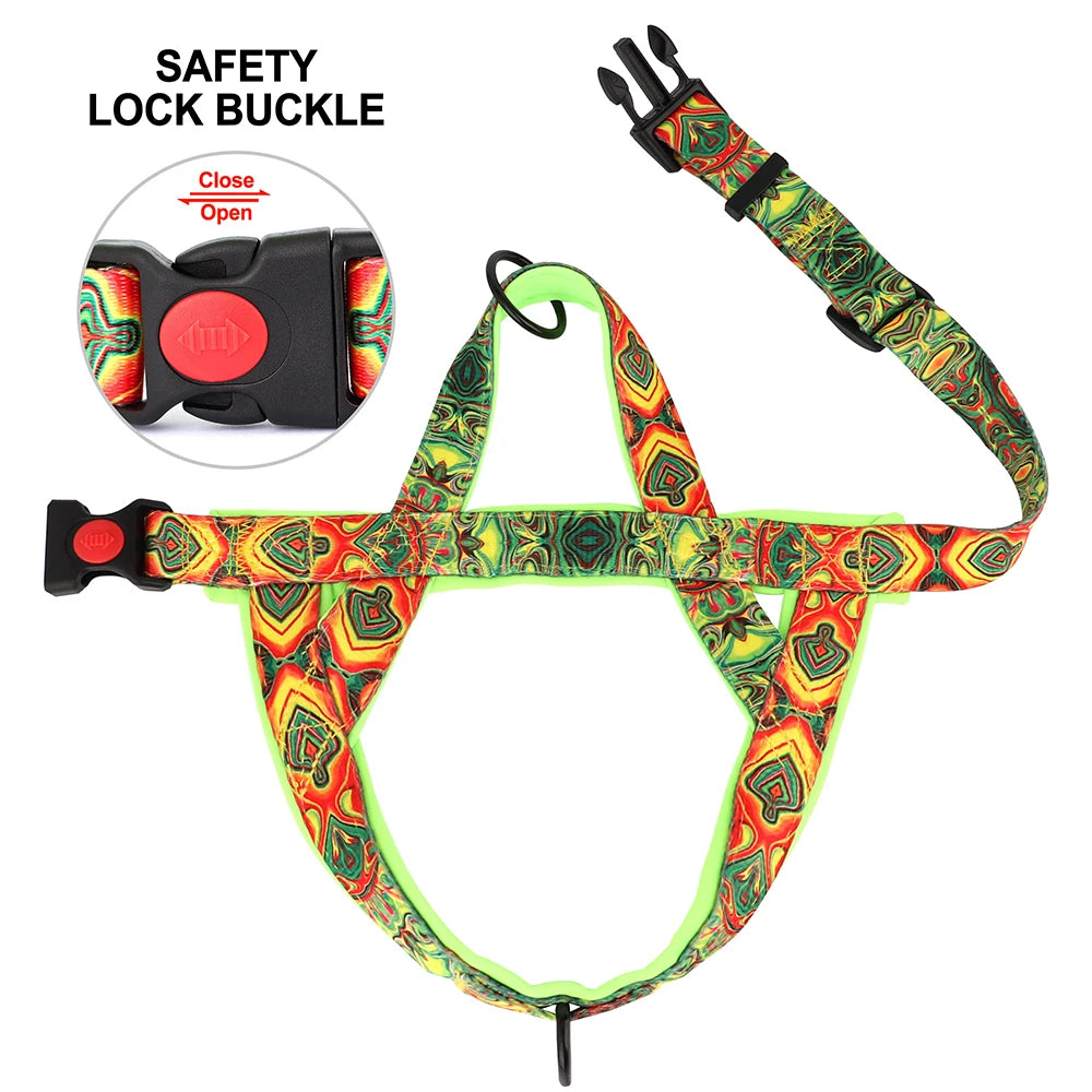 Adjustable Walk and Training Dog Harness.