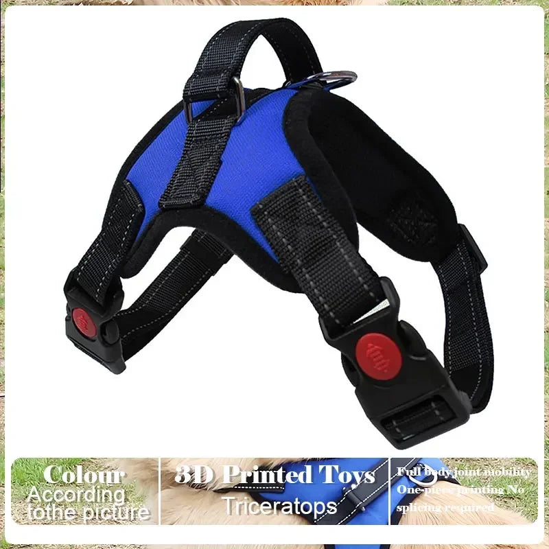 Adjustable Pet Harness and Leash Set
