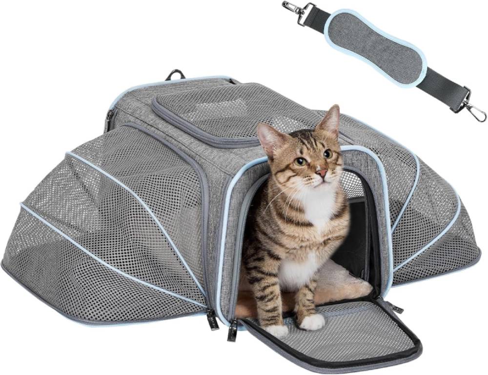Cat sitting inside a gray pet carrier with a strap on a white background