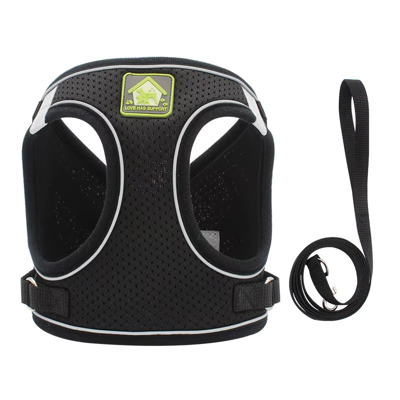 Comfort Control No-Pull Dog Harness & Leash Set