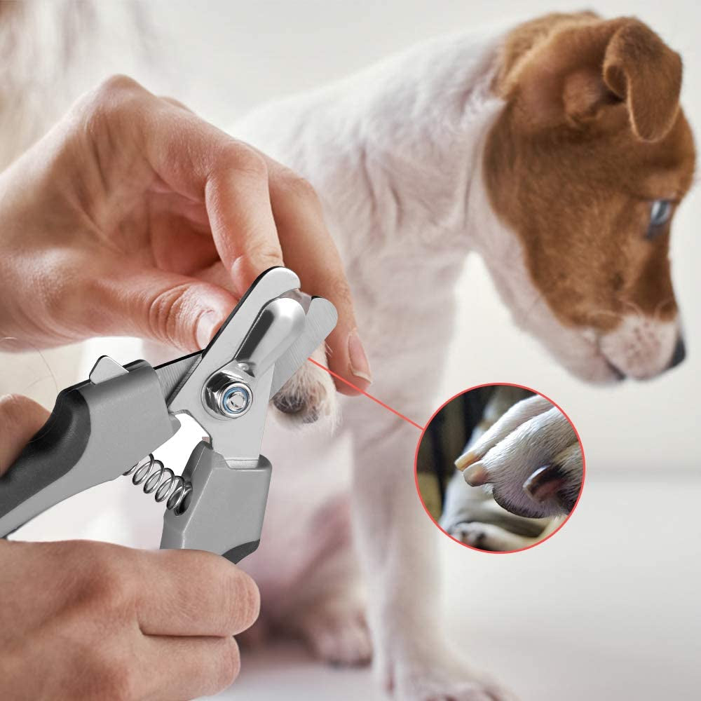 Professional Dog Nail Clippers with Nail File