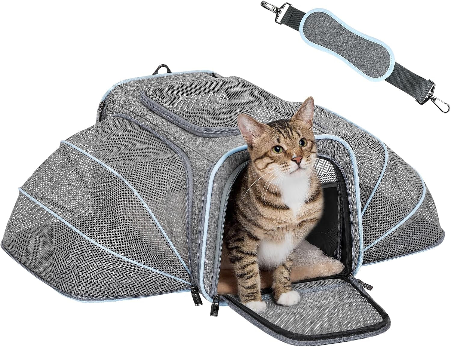 ✈️ Expandable Airline-Approved Pet Carrier 