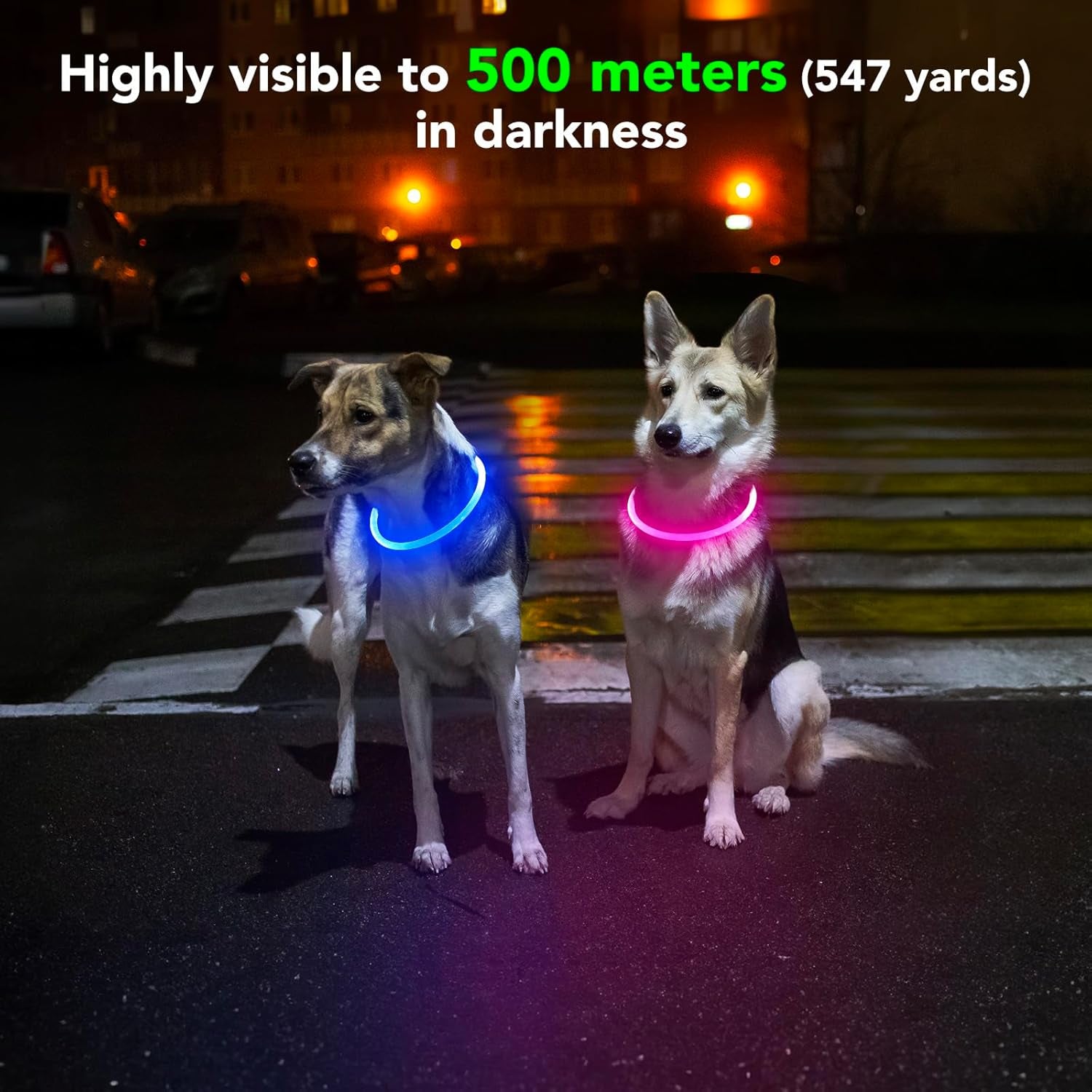 Rechargeable LED Dog Collar – Waterproof Light-Up Safety Collar for Night Walking (Blue)