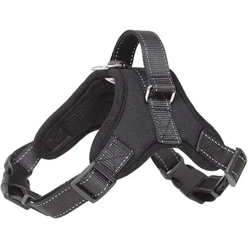 Adjustable Pet Harness and Leash Set