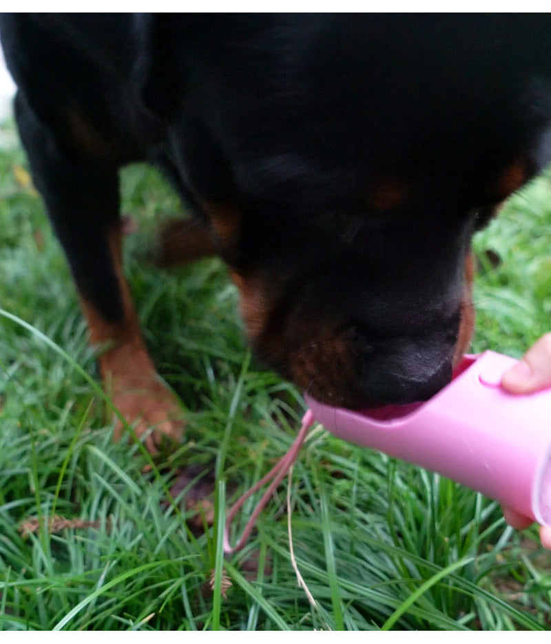 Portable Dog Water Bottle with Bowl – Leak-Proof Pet Travel Dispenser