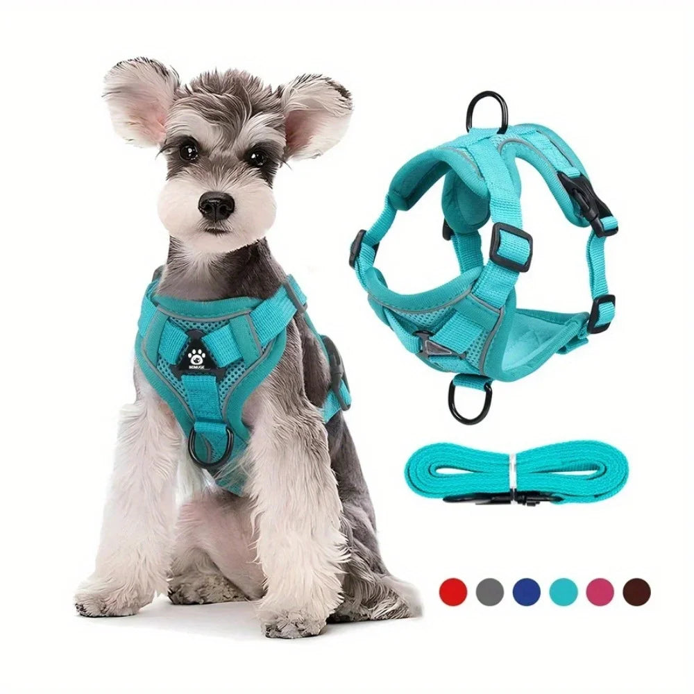 Reflective Dog and Cat harness with Leash Set