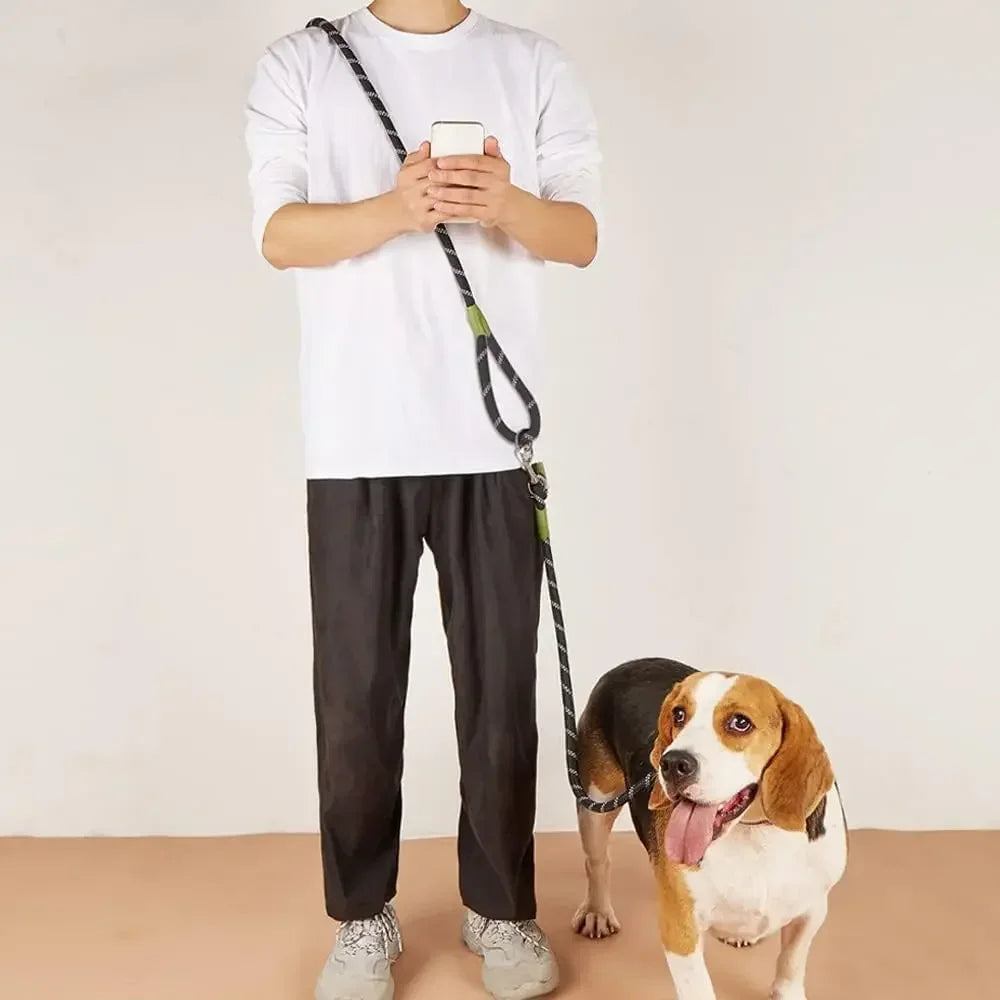 Adjustable Pet Harness and Leash Set