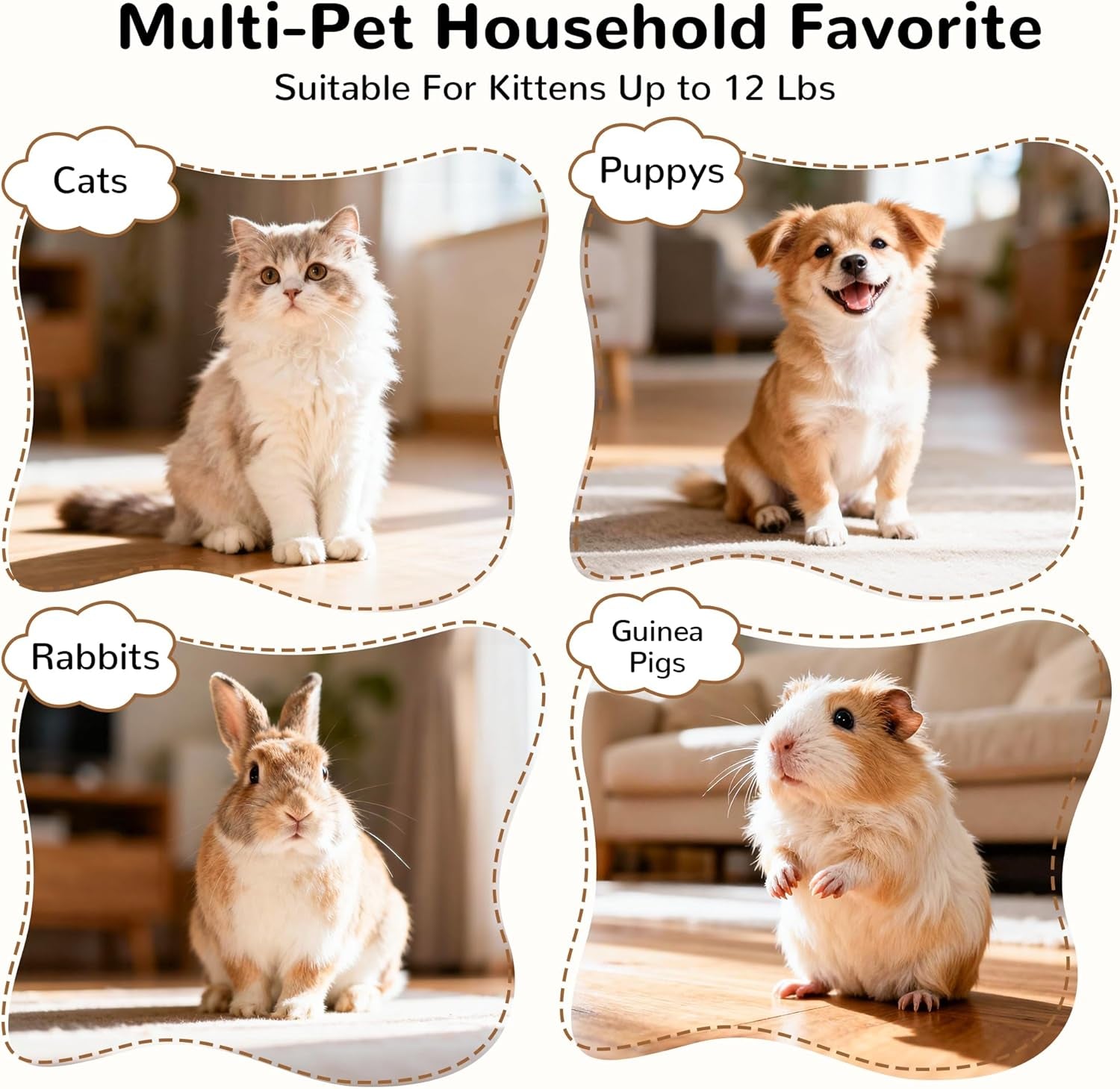 🐱 3-Way Collapsible Cat Tunnel Toy – Endless Fun for Curious Cats