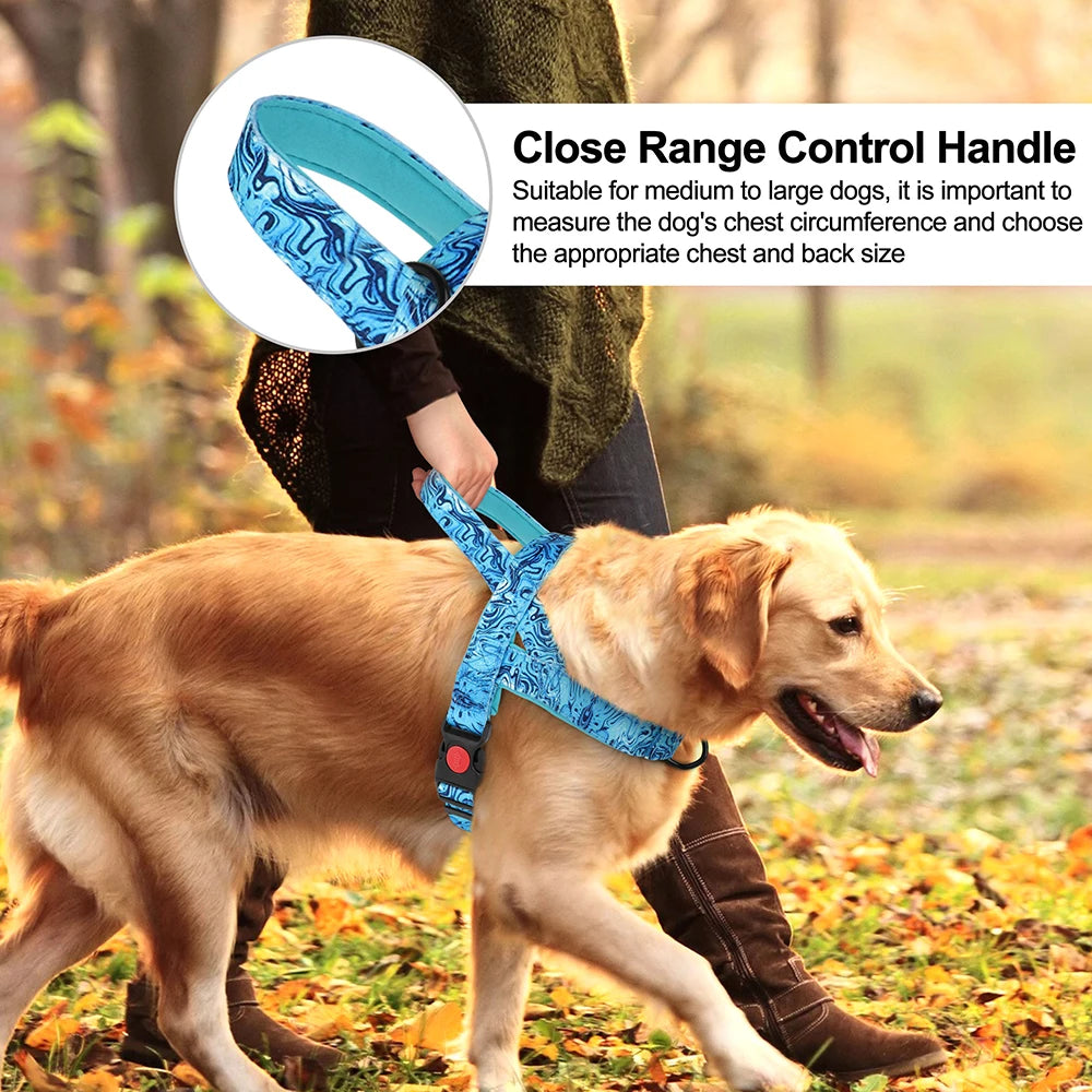 Adjustable Walk and Training Dog Harness.