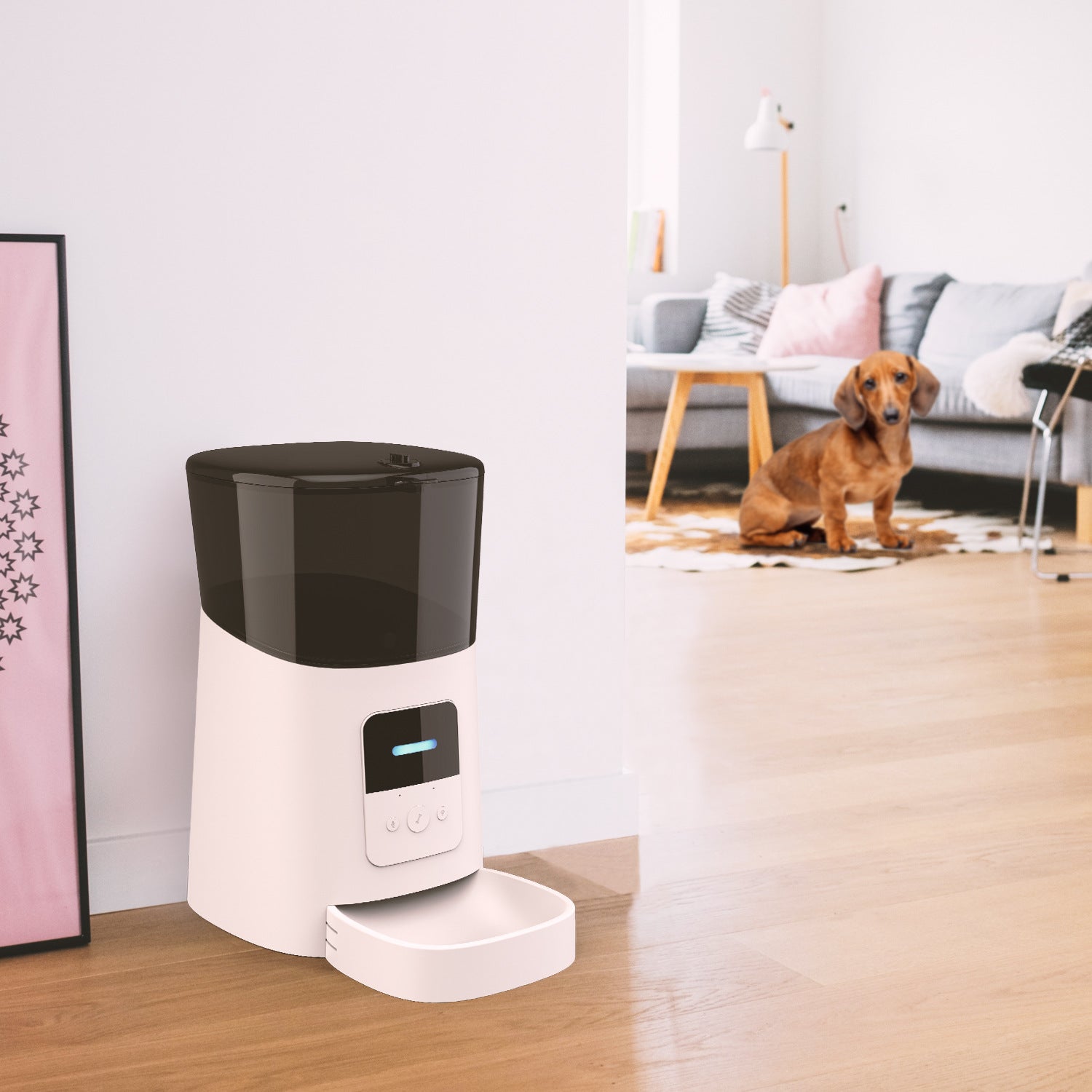 Pet Feeder Automatic – Hygienic, Easy-Clean Feeding Solution