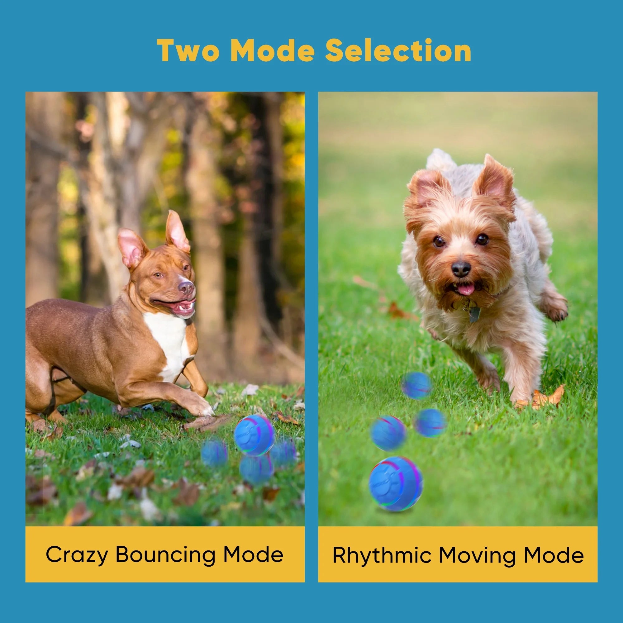 Interactive Rolling Dog Ball – Smart LED Moving Toy for Dogs