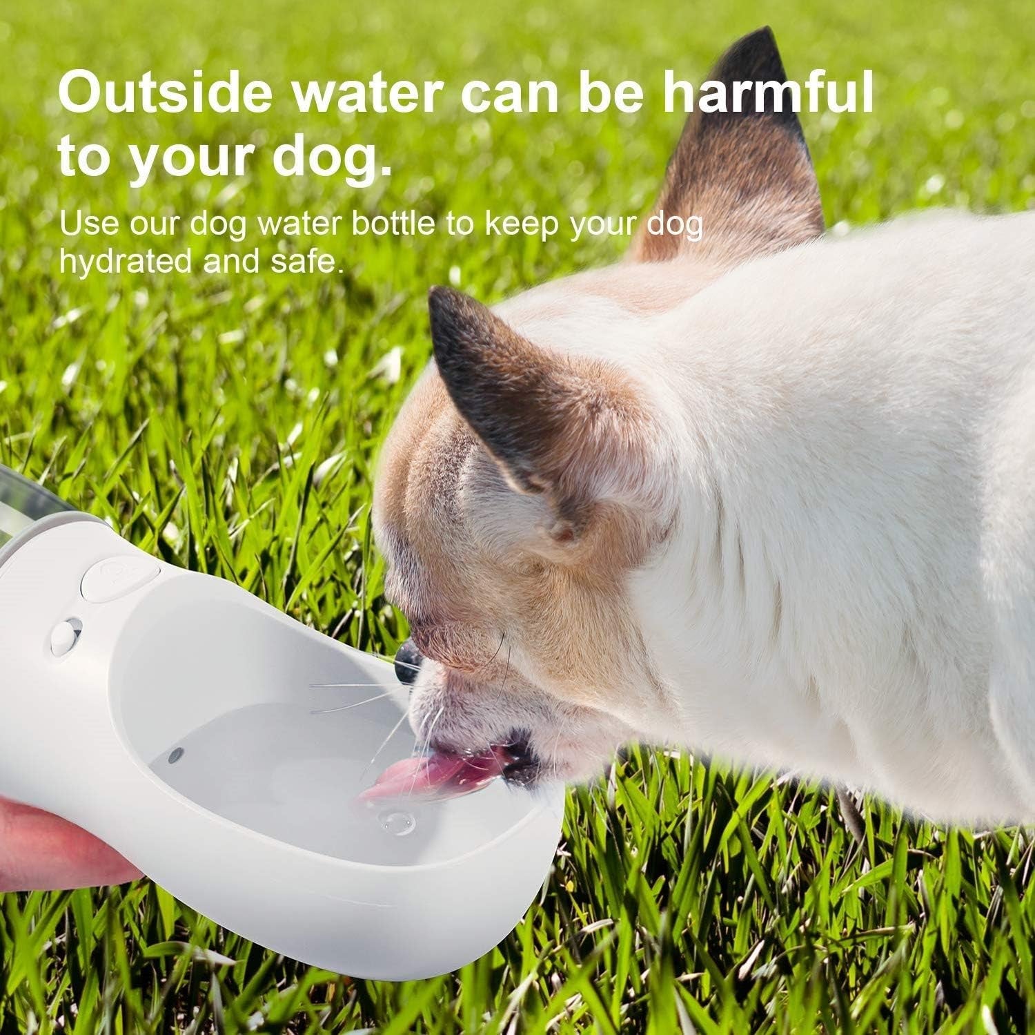 portable Dog Water Bottle – Leak-Proof Travel Water Dispenser