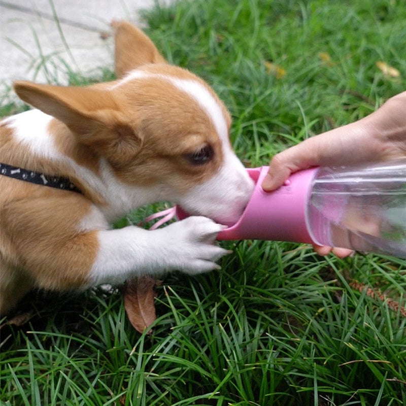 Portable Dog Water Bottle with Bowl – Leak-Proof Pet Travel Dispenser
