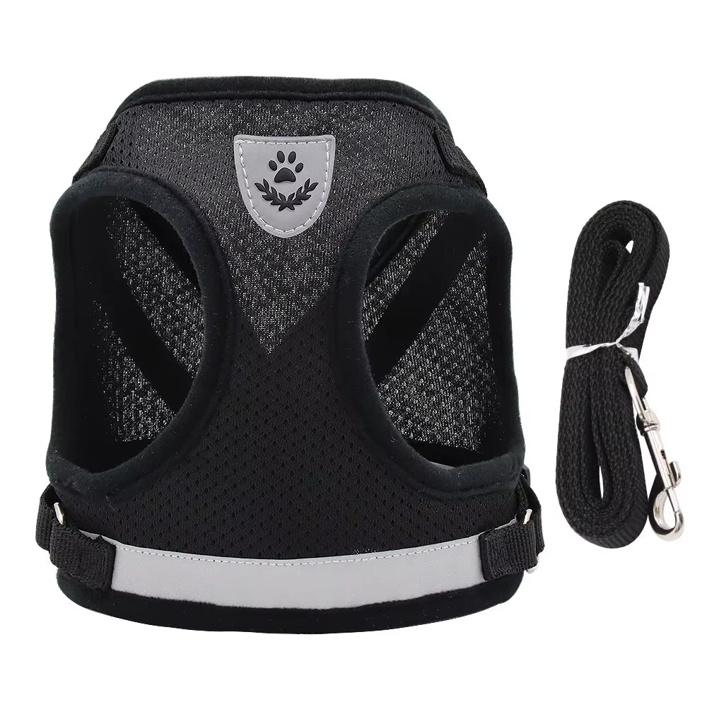 Comfort Control No-Pull Dog Harness & Leash Set